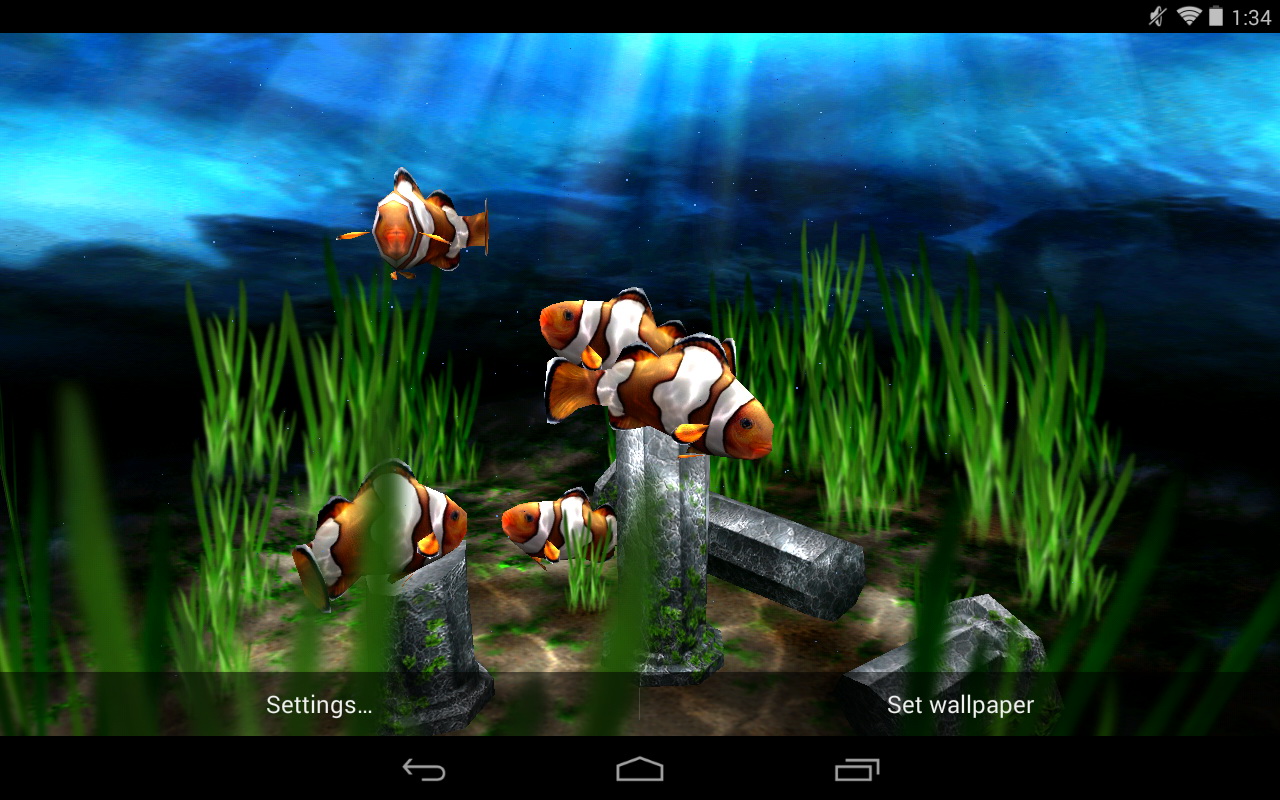 Free Live Moving Fish Wallpaper - WallpaperSafari