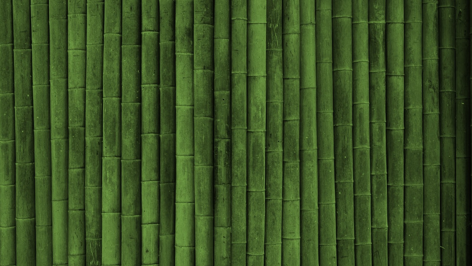 Beautifull Bamboo Green Wall HD Wallpaper Epic Desktop Background