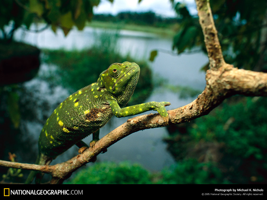 Of The Day Picture Photography Wallpaper National Geographic