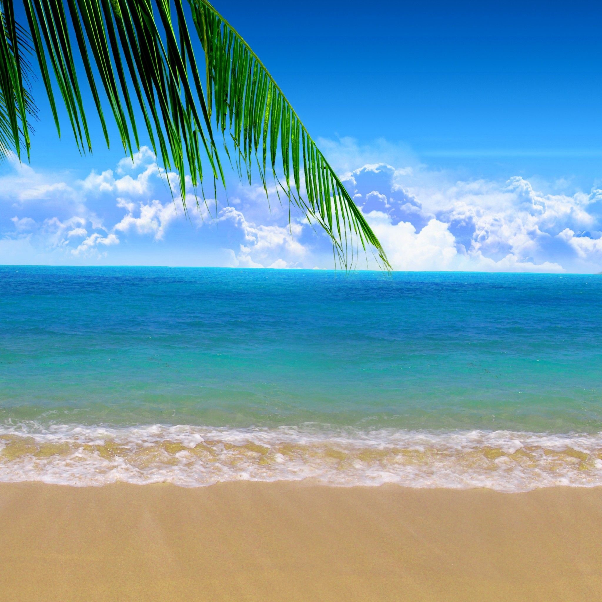 Tropical beach paradise with palm tree, turquoise water, and white sand