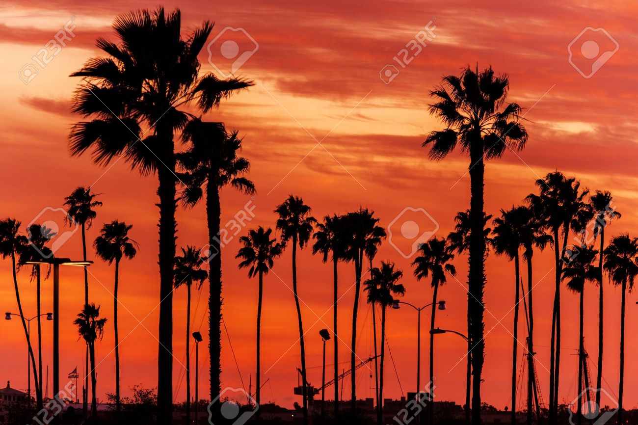 California Sanset Scenery Reddish Sunset Sky And California