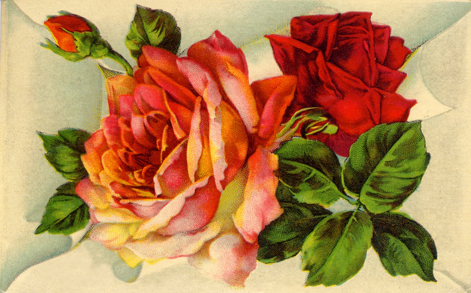 Vintage Rose Pictures HD Wallpaper And