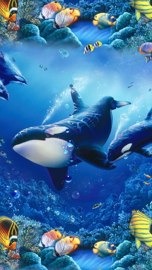 iPhone Hq Wallpaper Abstract Whales Aqua Life