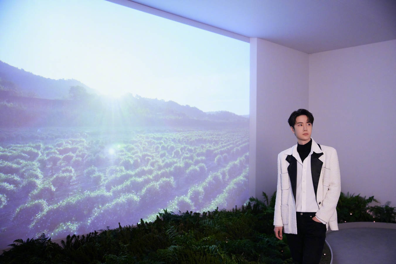 Wang Yibo Wallpaper