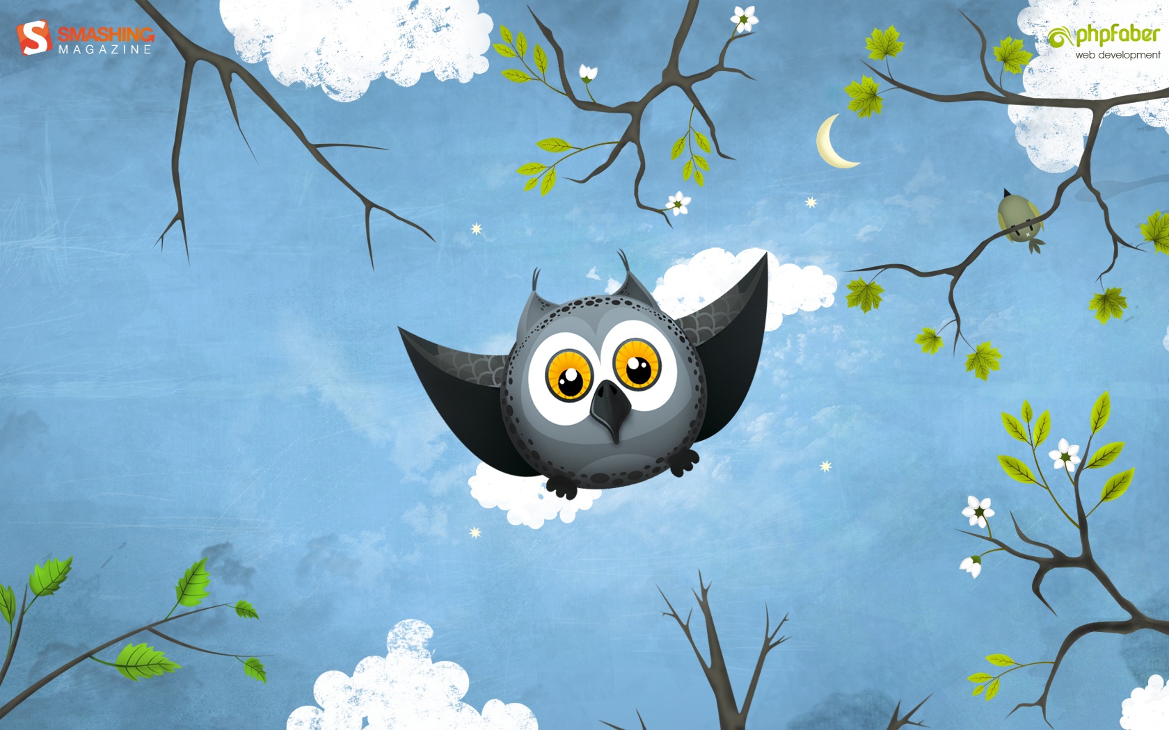 May Owl Flight All For Desktop