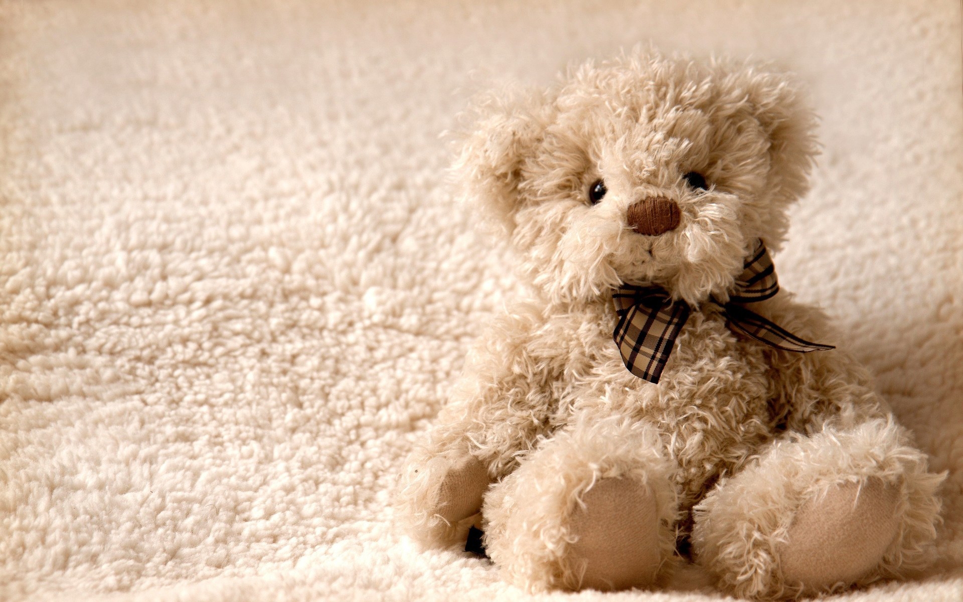 Teddy Bear Pictures