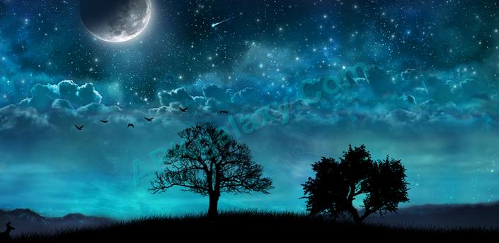 This Live Wallpaper Features A Relaxing Night Scene With Dreamy Blue