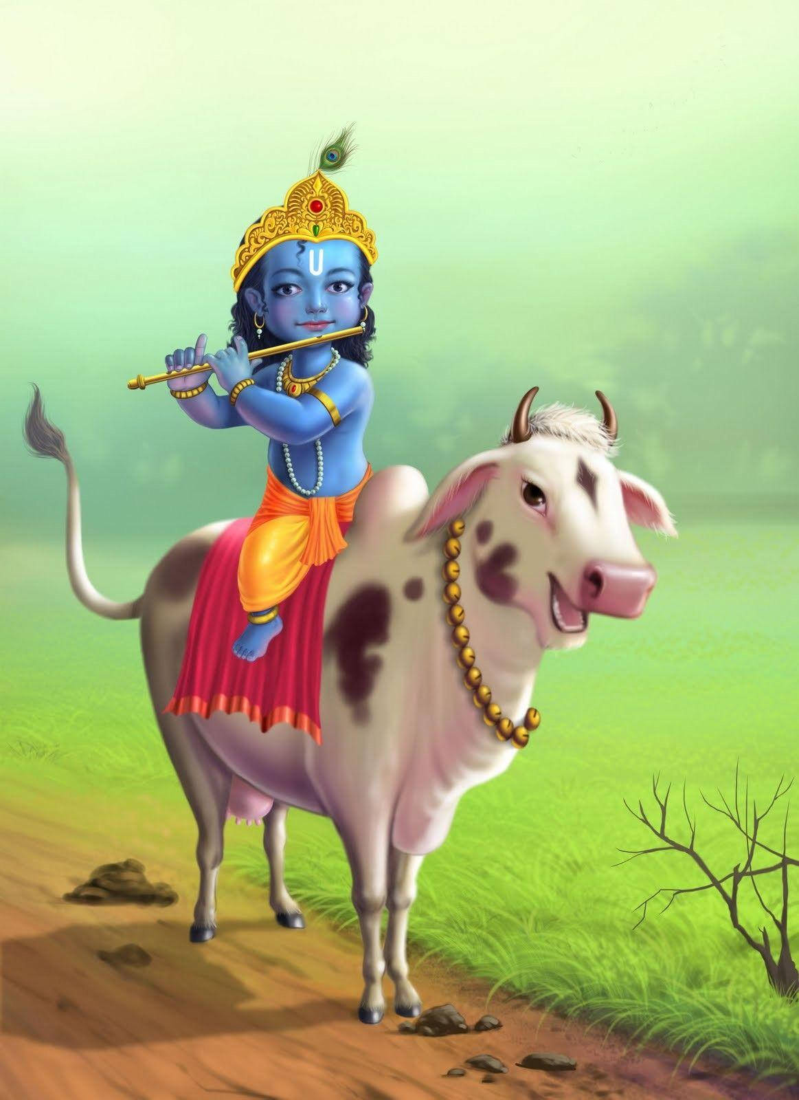 Little Krishna Wallpaper