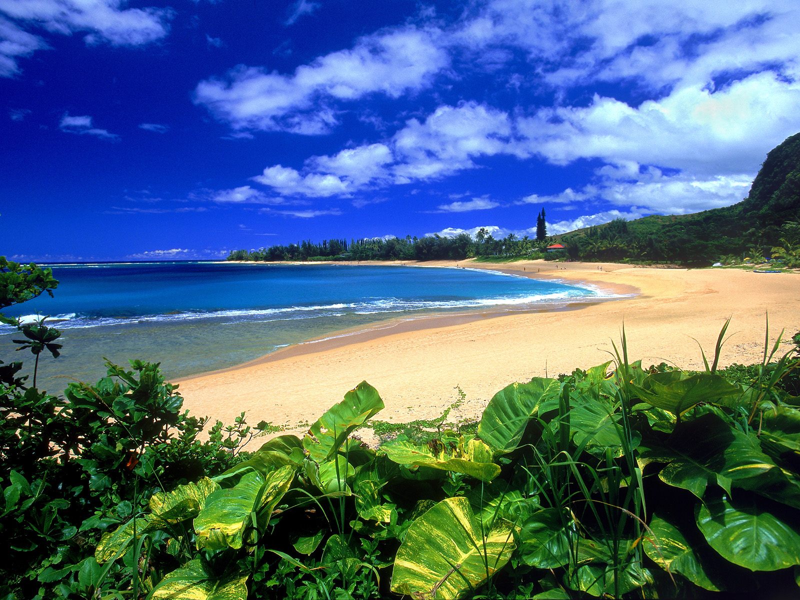 Haena Beach Kauai Hawaii Background Wallpaper Jpg