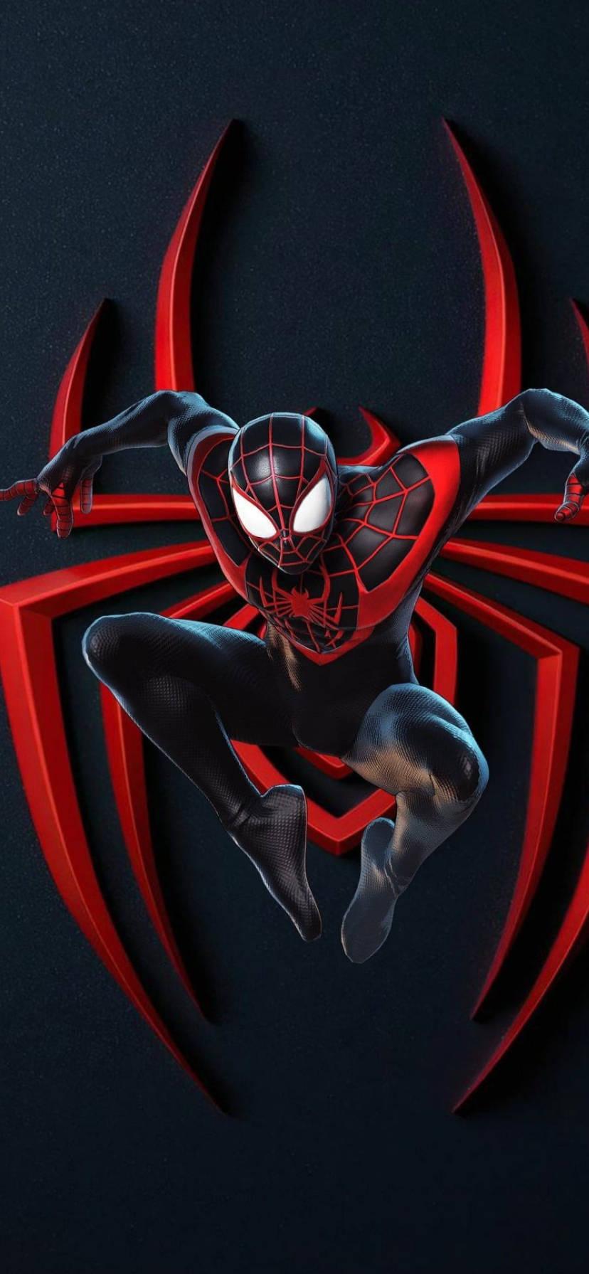 Miles Morales Spider Man iPhone Xr Wallpaper