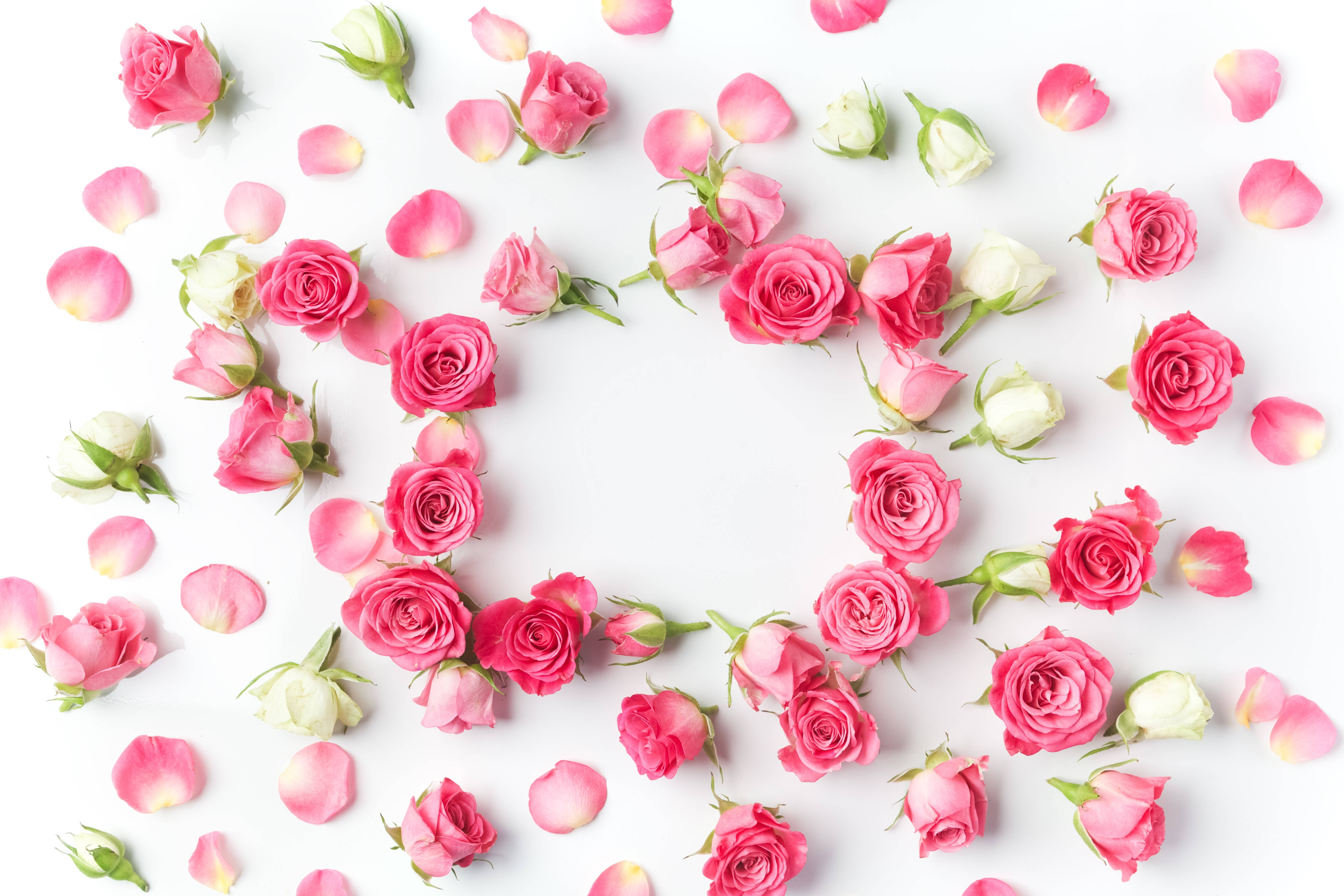 Pink And White Wallpaper