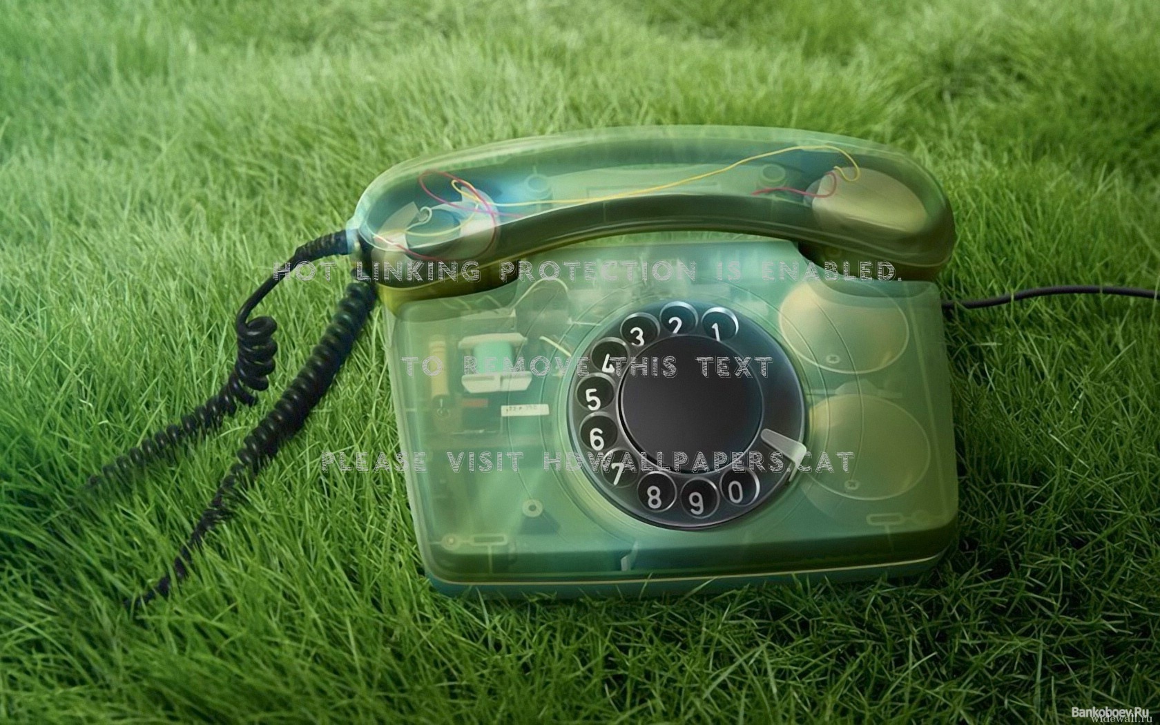 Telefone Natureza Grama Abstrato Verde