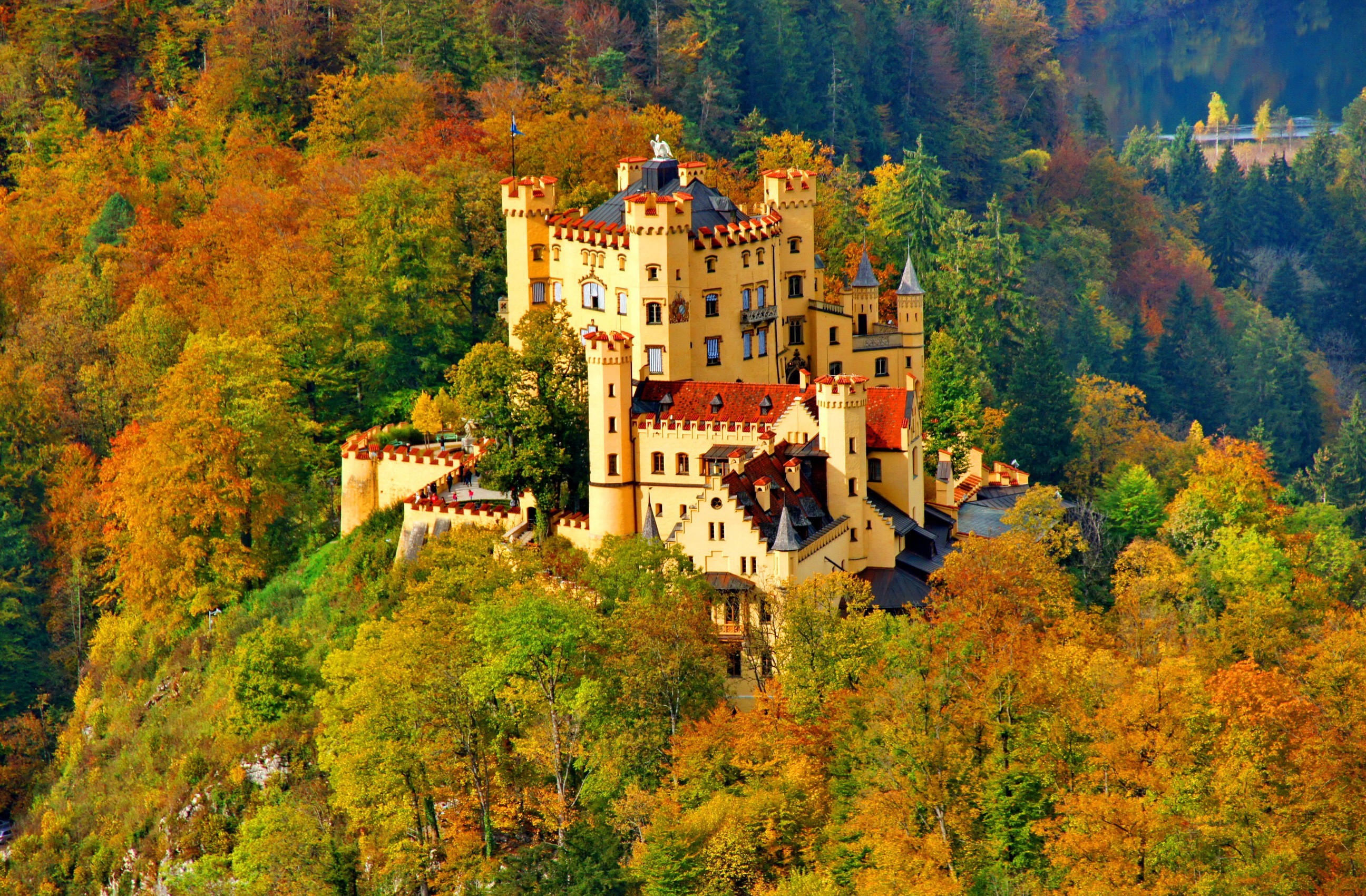 Hohenschwangau Castle in Autumn Majesty: A picturesque view of the historic German castle nestled amidst a vibrant autumn forest