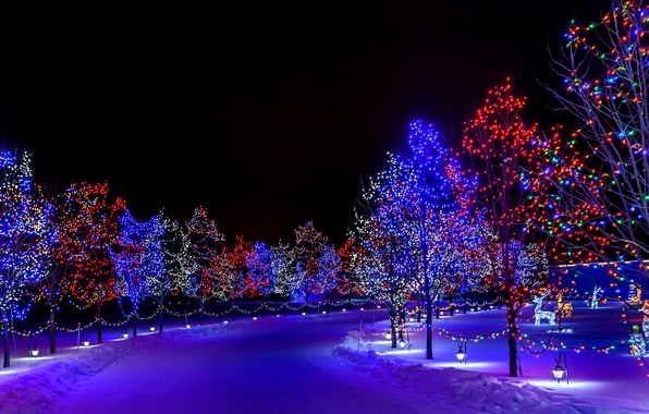 Winter Holiday Merry Christmas Happy New Year Nature Snow Street