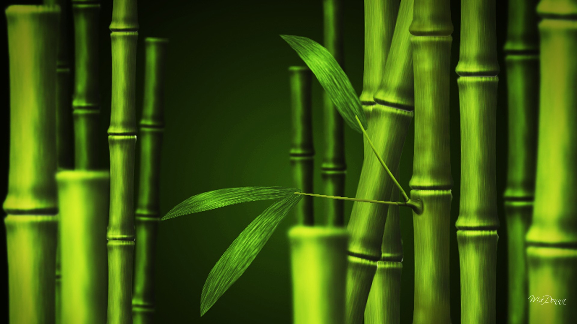 Desktop Bamboo HD Wallpaper