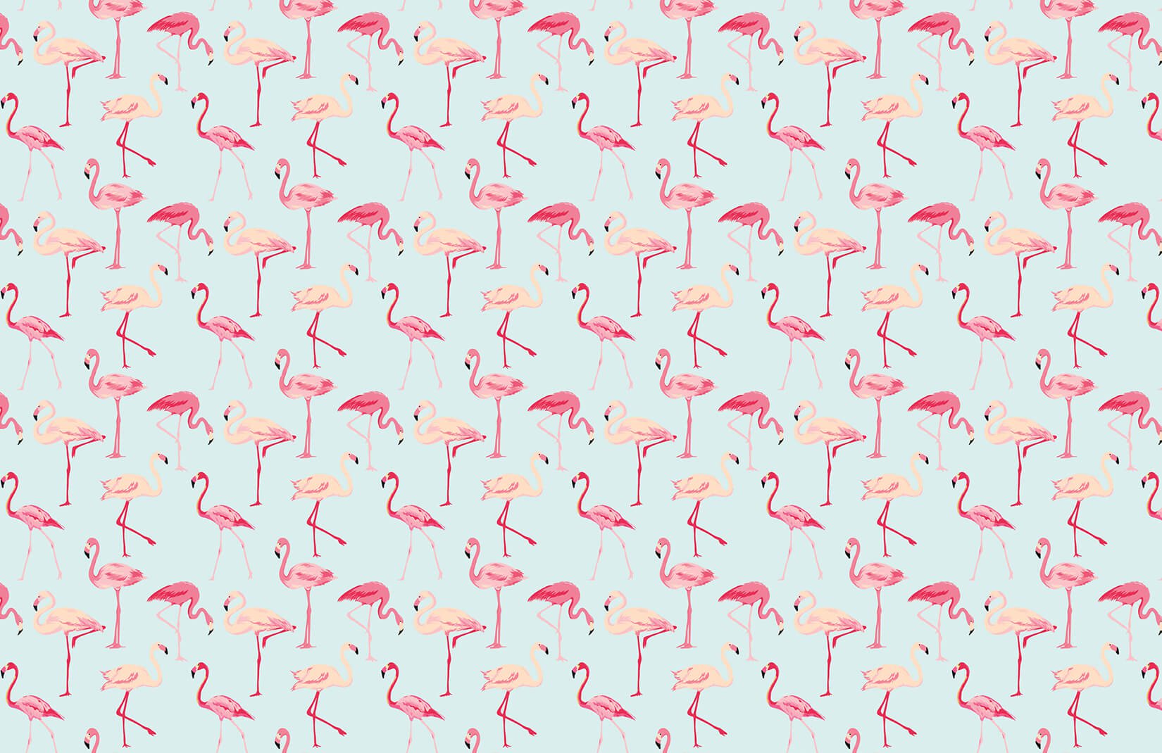 Pink Flamingo Wallpaper Murals