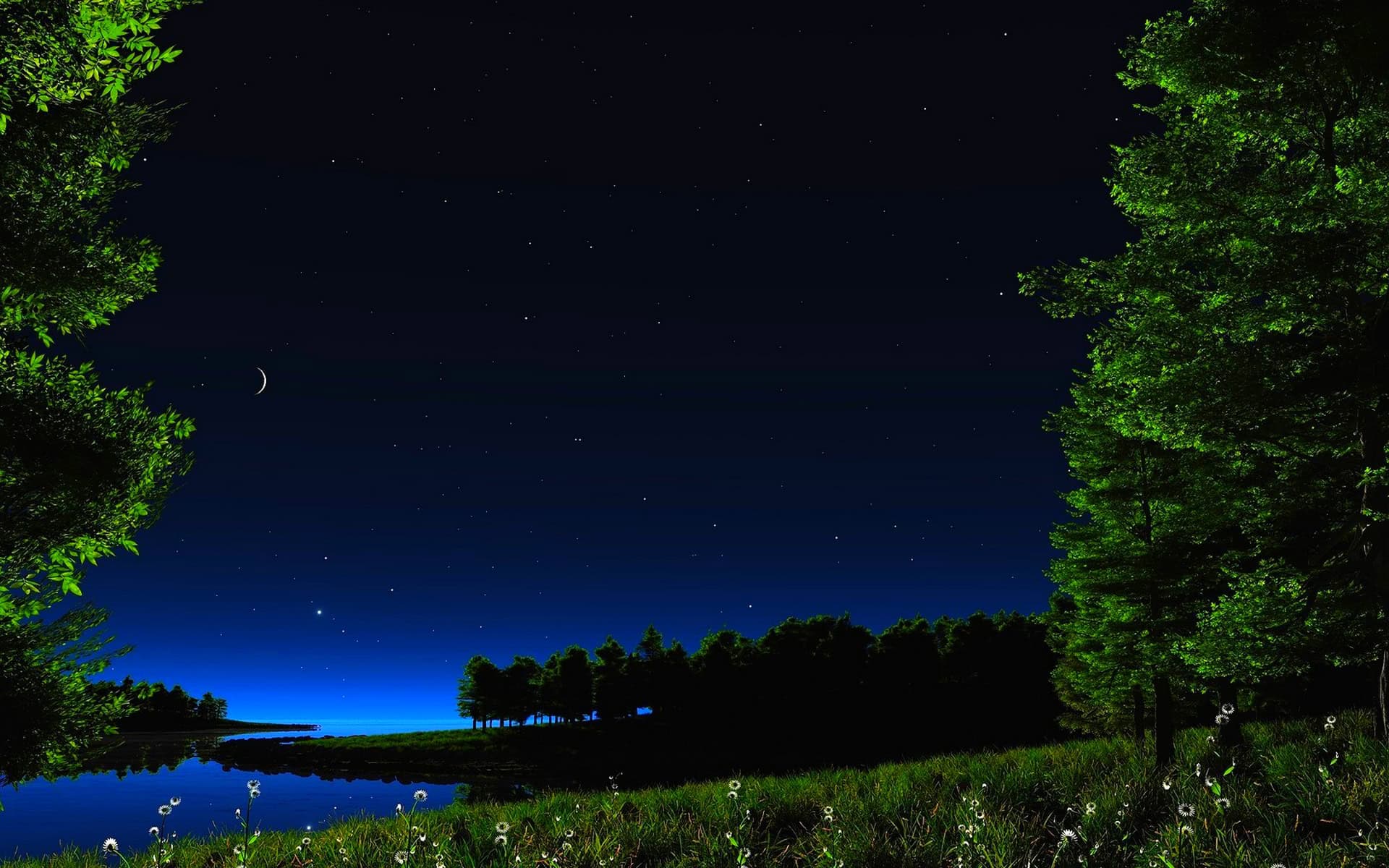 HD Starry Night Wallpaper