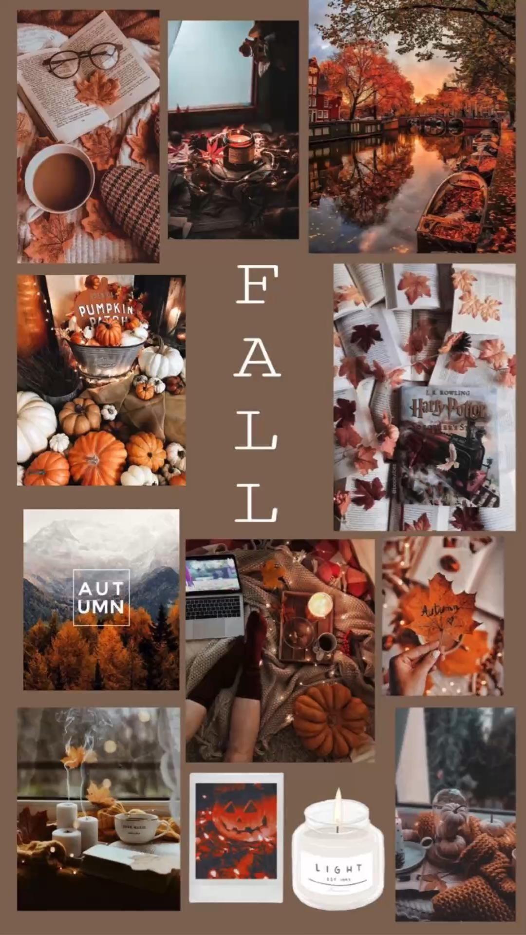 Free download Fall Wallpaper Backgrounds iPhone Cozy Autumn Fall ...