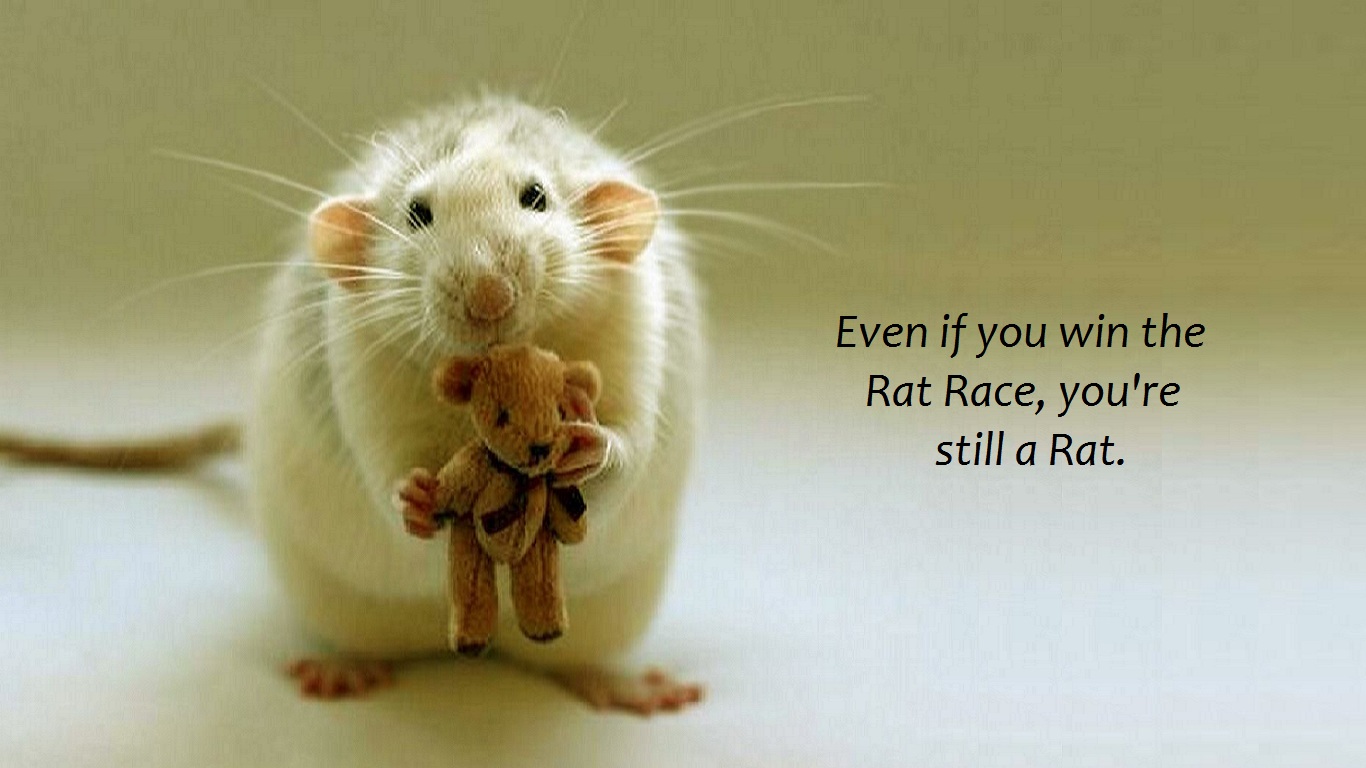 Rat Race Wallpaper