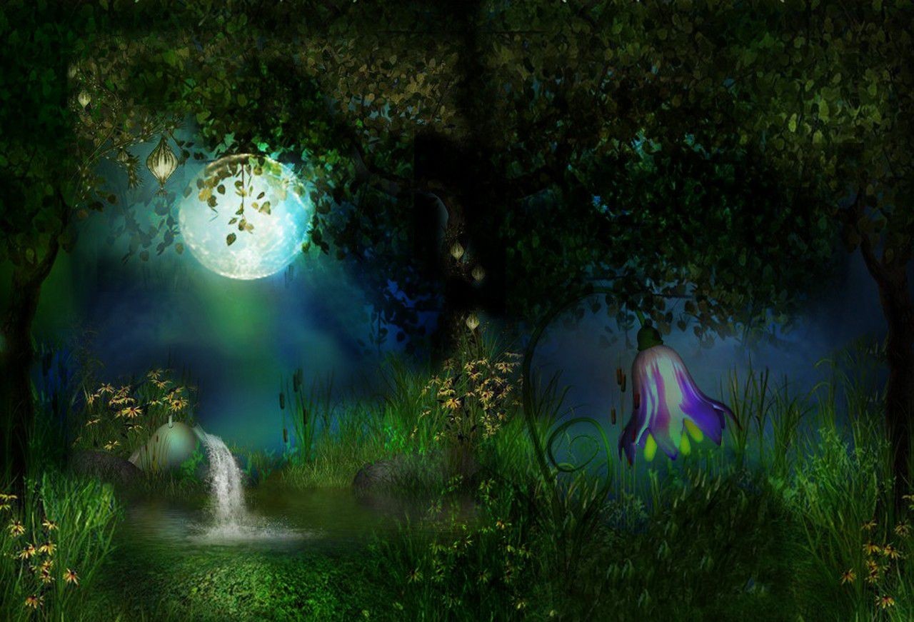 69+] Enchanted Forest Backgrounds - WallpaperSafari