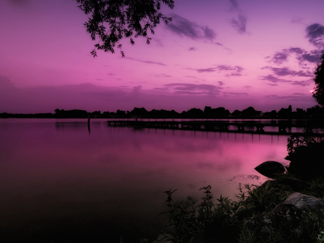 Nature Scene Scenery Photography Purple Landscape Lake Beautiful