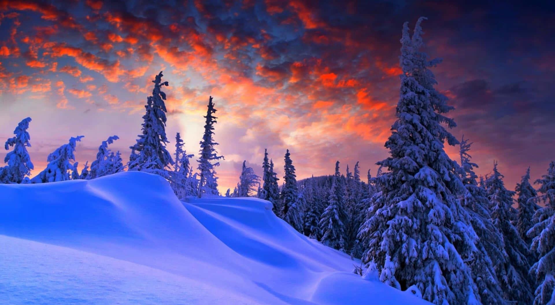 Sunset Cloud In 4k Winter Background Wallpaper