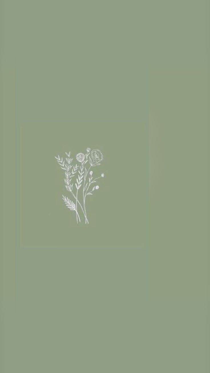 Sage Green Aesthetic Wallpaper