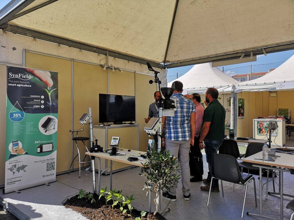 Synfield At Agroexpo