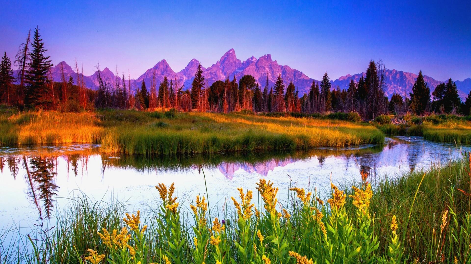 Summer Sunrise At Teton National Park HD Wallpaper Gnome Look Org