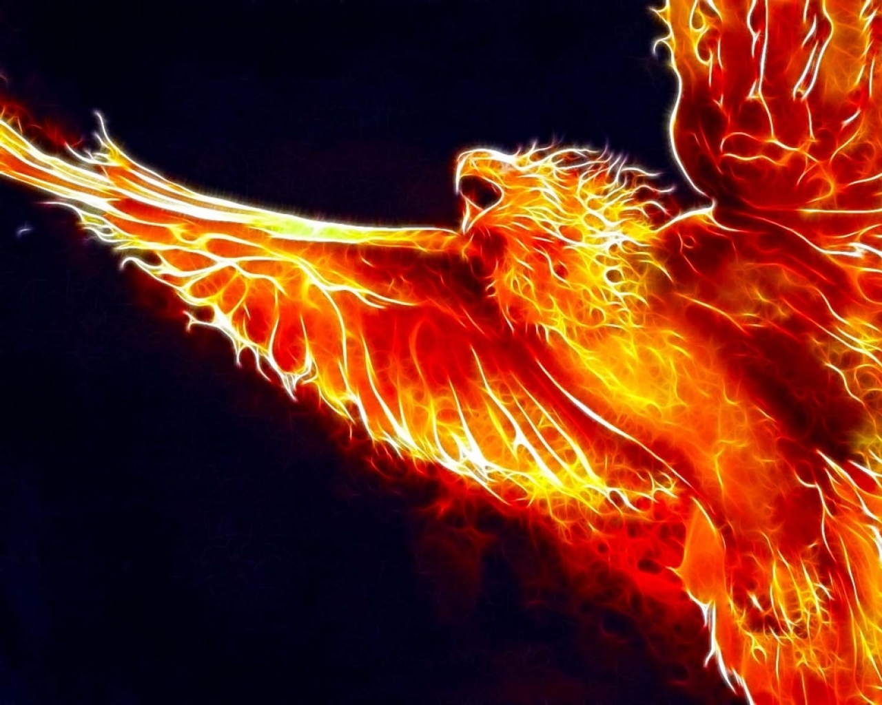 birds fire phoenix fractalius 1280x800 wallpaper Animals HD Wallpaper