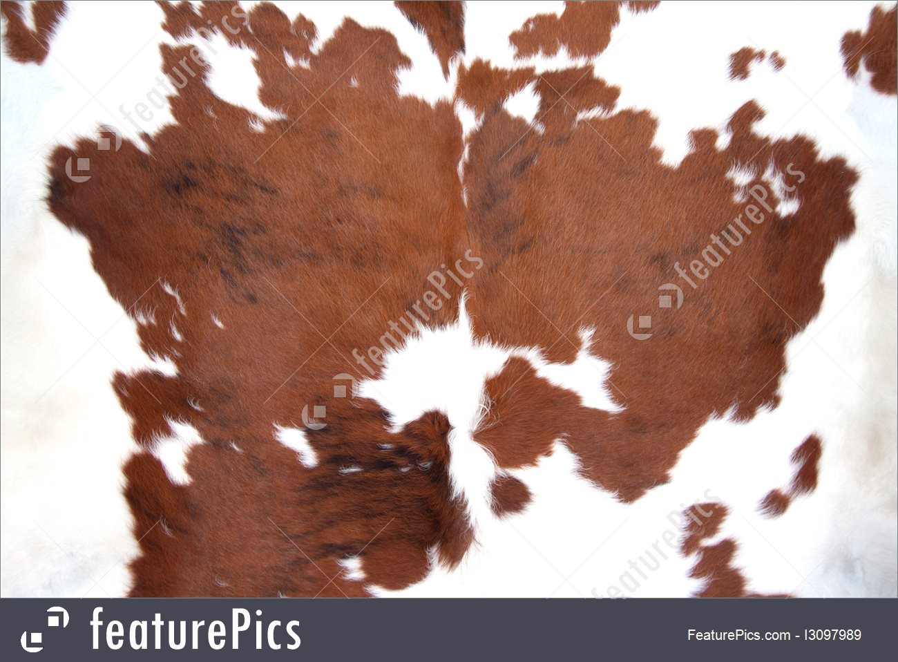Texture Brown Cowhide Stock Picture I3097989 At Featurepics
