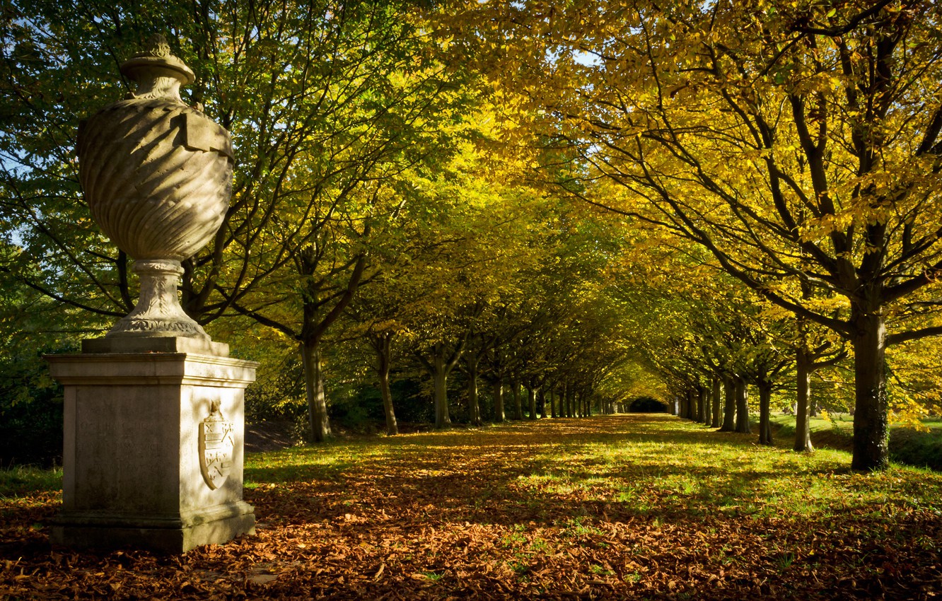 Wallpaper Park Tree Lined Avenue Anglesey Abbey Englisi