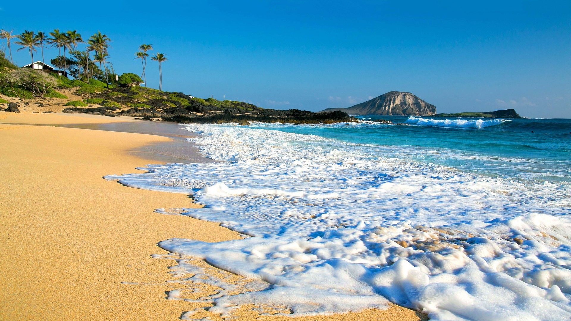 Scenic view of a Hawaiian beach with turquoise water, white sand, palm trees, and a volcanic island in the background