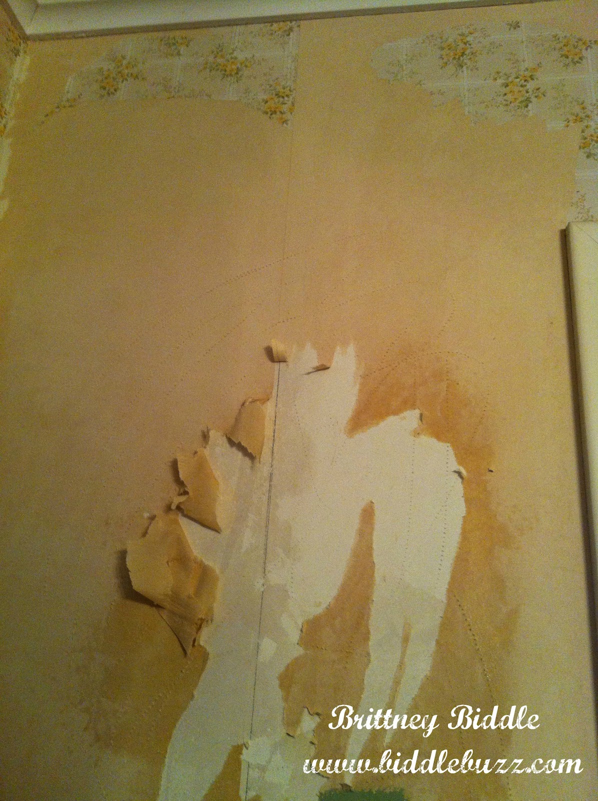 Free download Removing Wallpaper with Fabric Softener [1195x1600] for