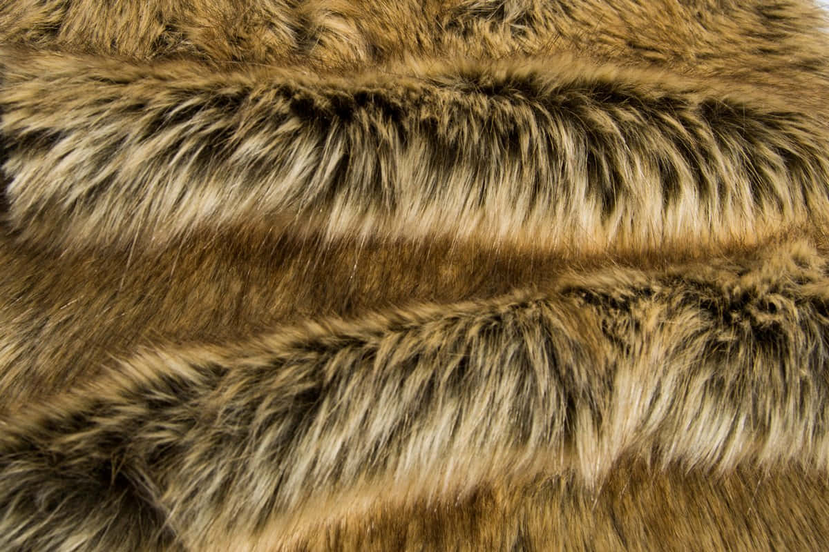 Animal Fur Picture Wallpaper