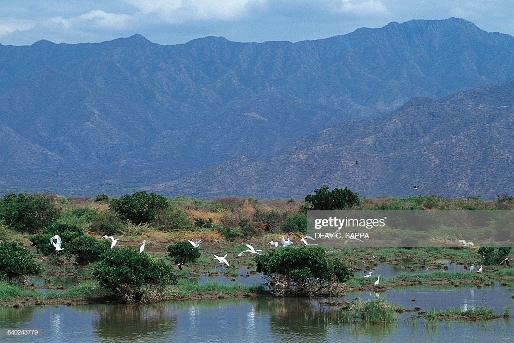 Wetland Hummo Mountains In The Background Ethiopia News Photo