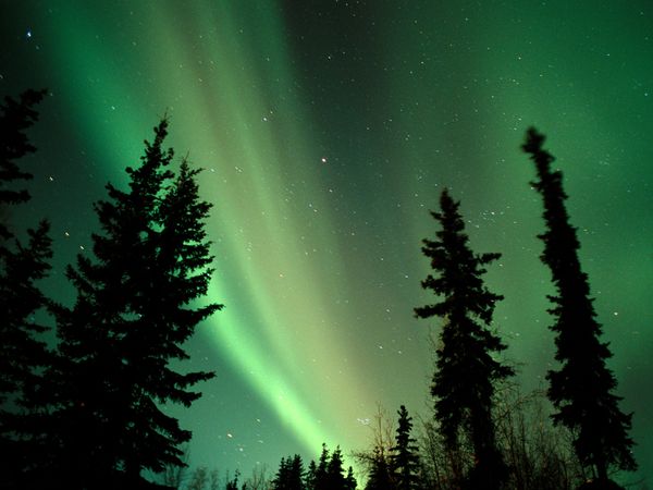 Aurora Pattern Pictures Photos Photo Gallery Picture