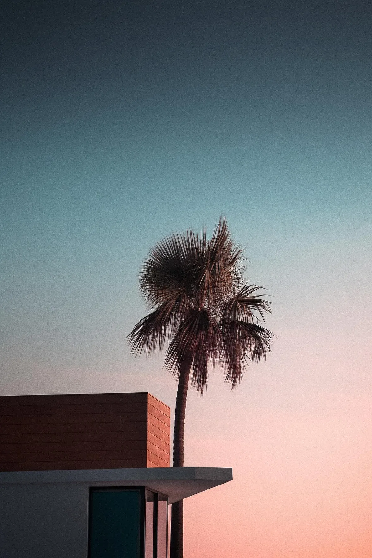 Elegant Aesthetic Wallpaper For iPhone