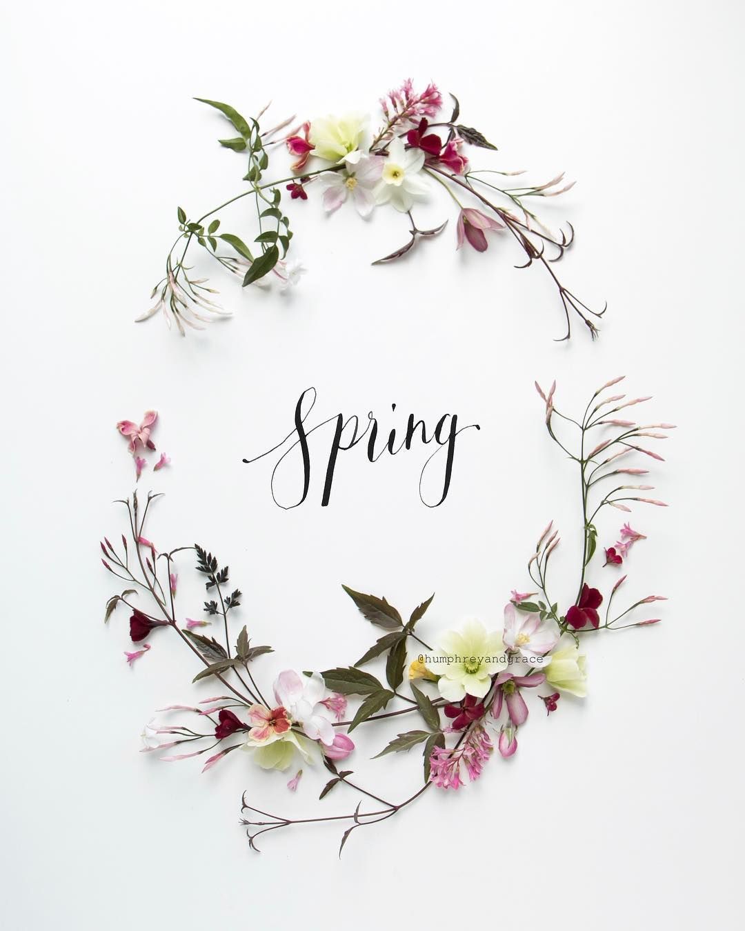 Spring Aesthetic   Hello Spring 1904083   HD Wallpaper