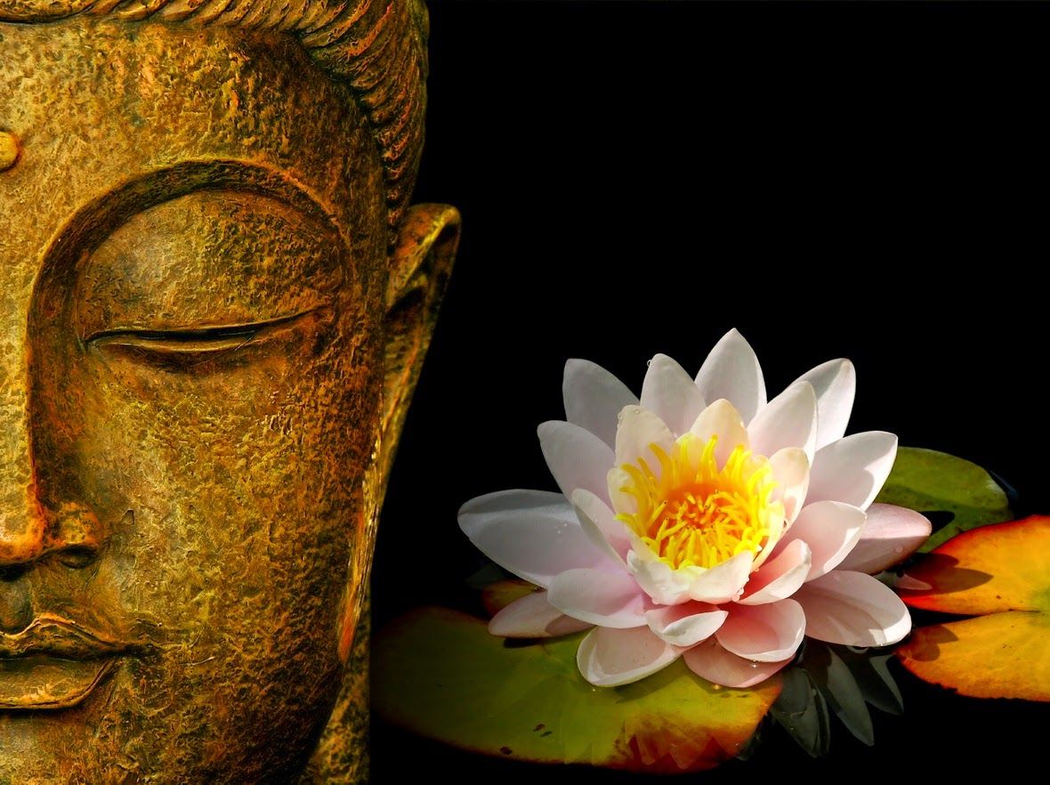 Buddha Face With Lotus Flower HD Wallpaper Zen Pictures