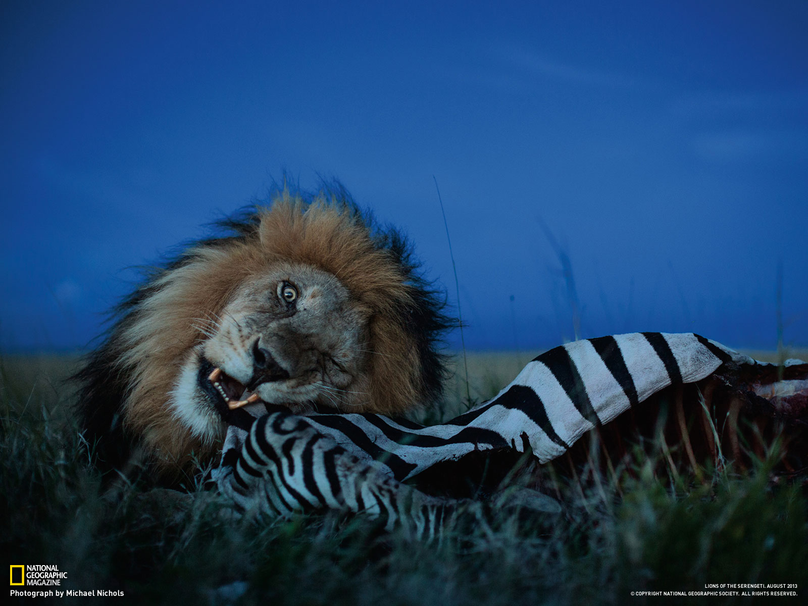 Photography Desktop Wallpaper National Geographic