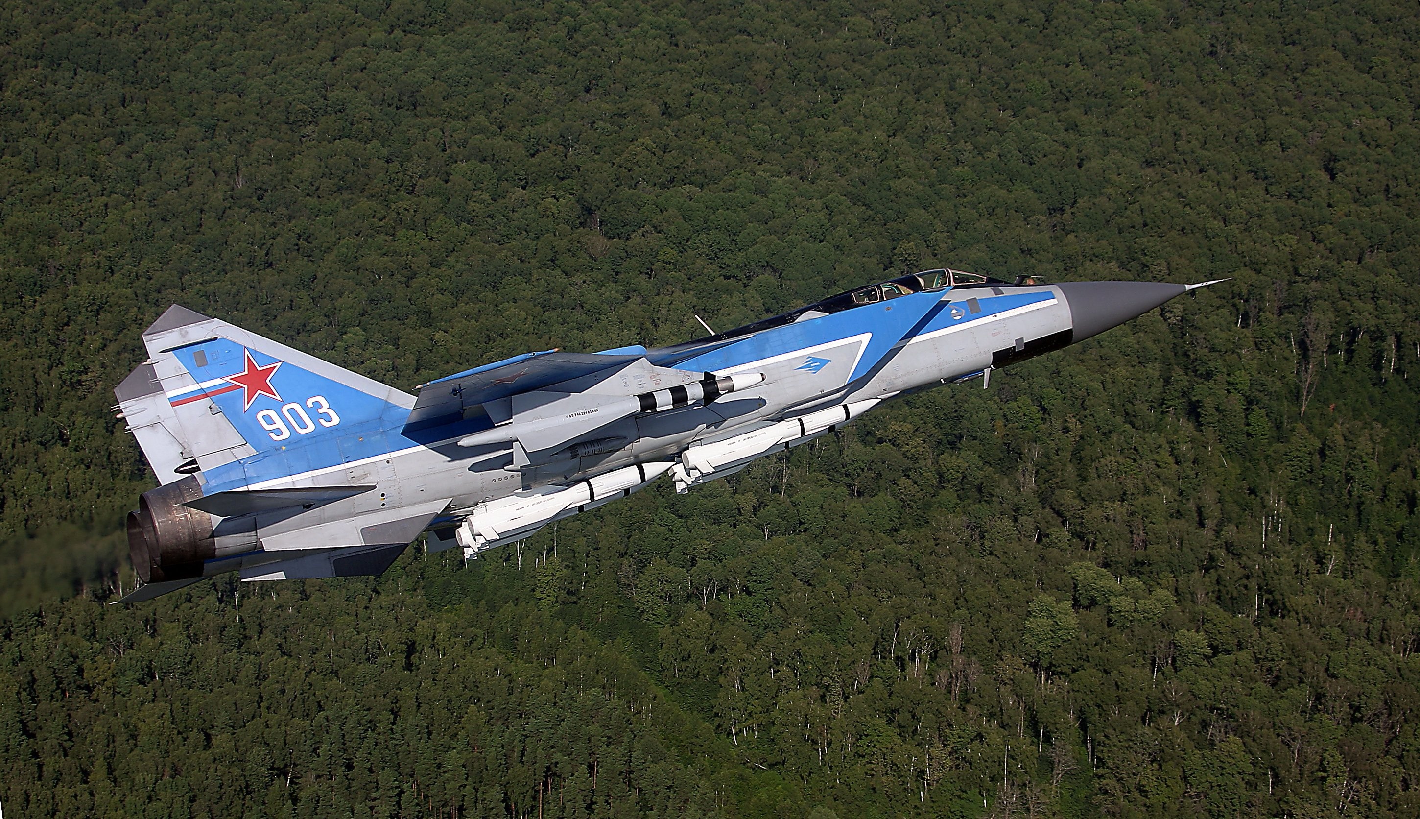 Wallpaper forest vehicle airplane military aircraft Sukhoi 2900x1672