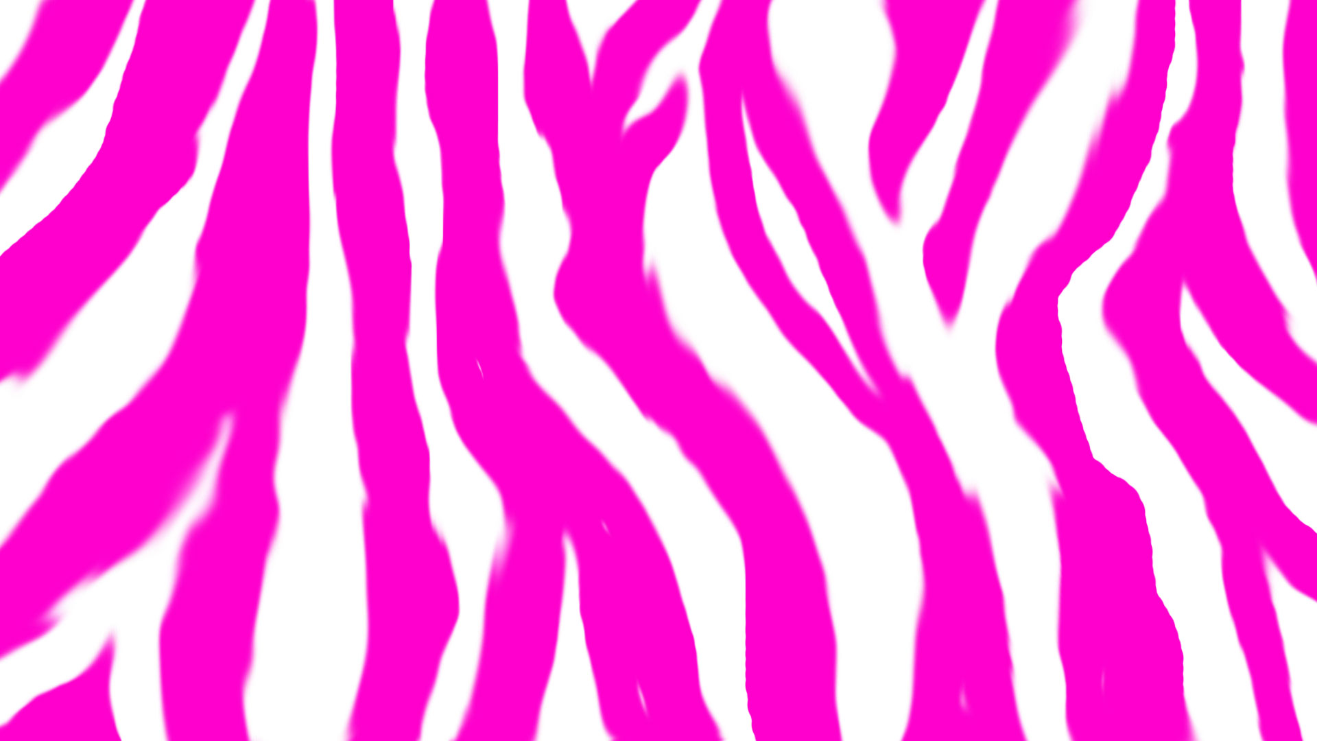 Pink Zebra Desktop Background