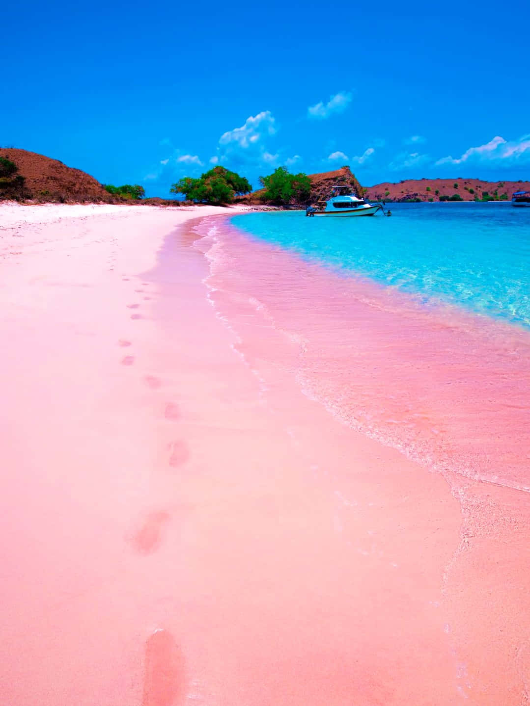 Pink Beach Wallpaper