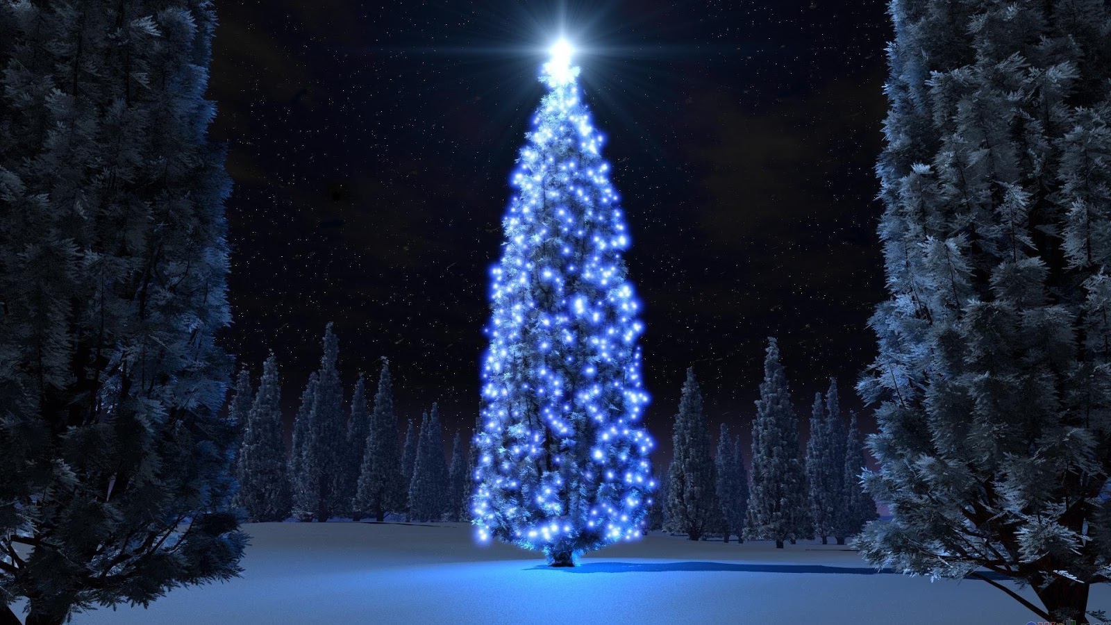 Blue Christmas Tree Widescreen Wallpaper