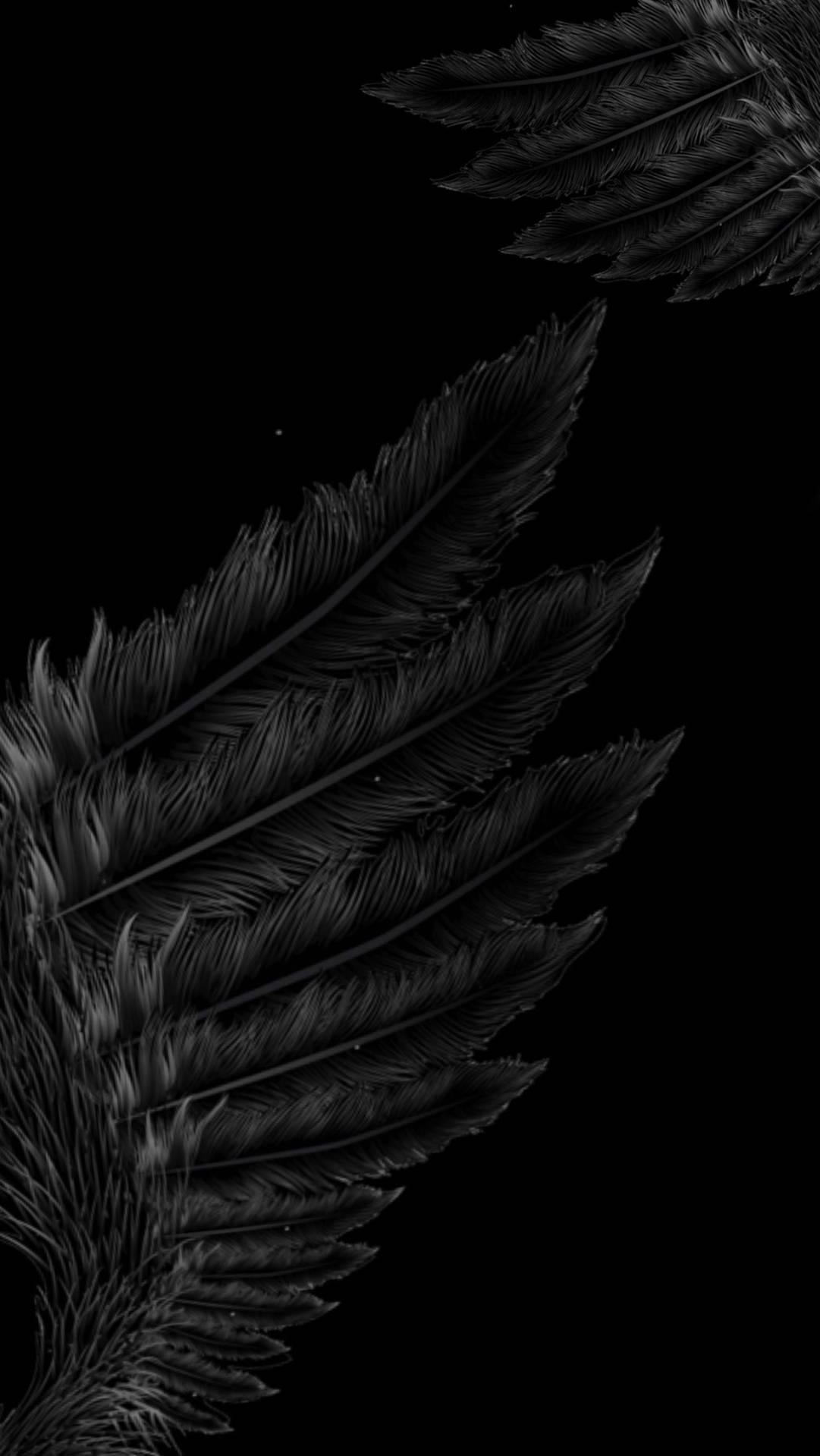 Majestic Black Angel Wings Wallpaper