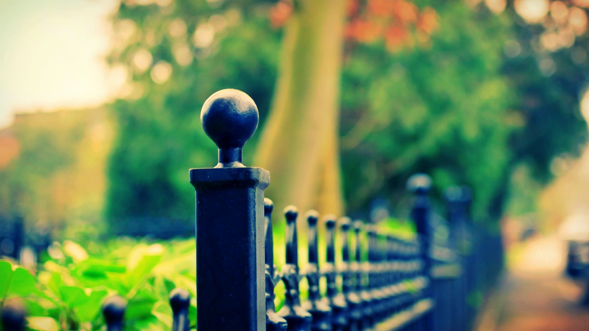 Cool Photography Wallpaper
