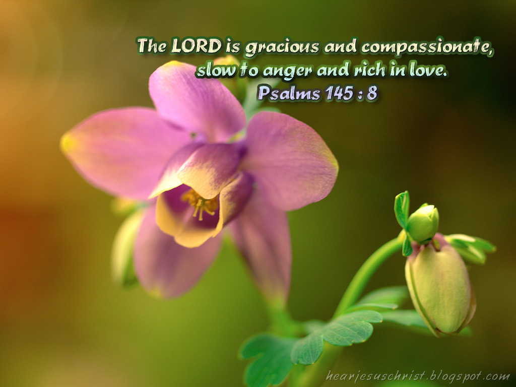 Psalm The Lord Is Gracious Wallpaper Christian