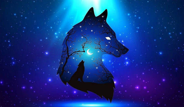 Cool Black Wolf Barking Wallpaper