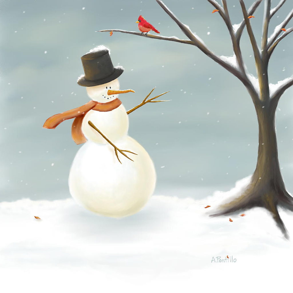 Country Snowman Wallpaper iPad
